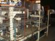 Envasadora termoformadora copinhos bandejas