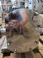 Bomba de lobulos inox 316 Alfa Laval 2017