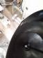 Tanque de agita��o inox