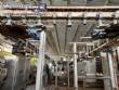 Desossador semiautom�tico para pernas de frango Marel Stork MX