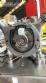 Bomba senoidal positiva ass�ptica inox 316 L  MasoSine Certa